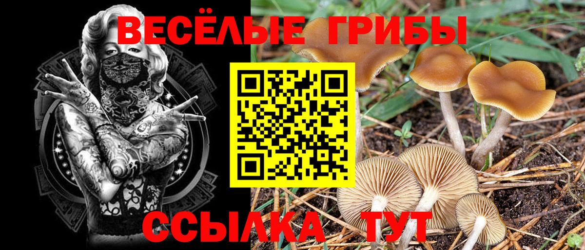 Псилоцибиновые грибы Cubensis  Псилоцибиновые грибы MAGIC MUSHROOMS  Урюпинск  Вход с VPN 